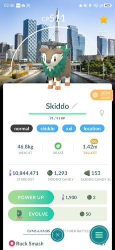 Skiddo incheon - xxl, (